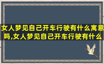 女人梦见自己开车行驶有什么寓意吗,女人梦见自己开车行驶有什么寓意吗周公解 🦍 梦 🦈